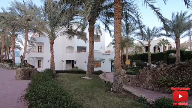 Gafy resort 4* Египет 🇪🇬. Шарм Ель Шейх. Наама бей. Отдых в Шар Эль Шейх.