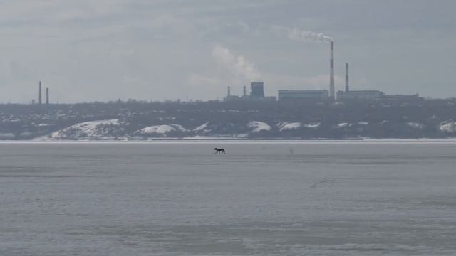 ДОЖДАЛСЯ!!! ВОТ ЭТО КРОКОДИЛ...!!! ТРОФЕЙНАЯ щука и судак. Рыбалка по последнему льду. смотреть онлайн