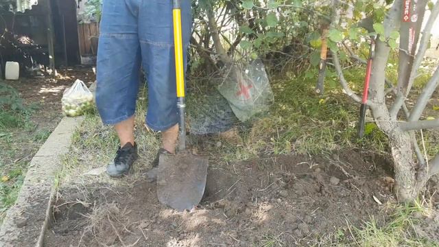 Какой урожай 26 смотреть онлайн