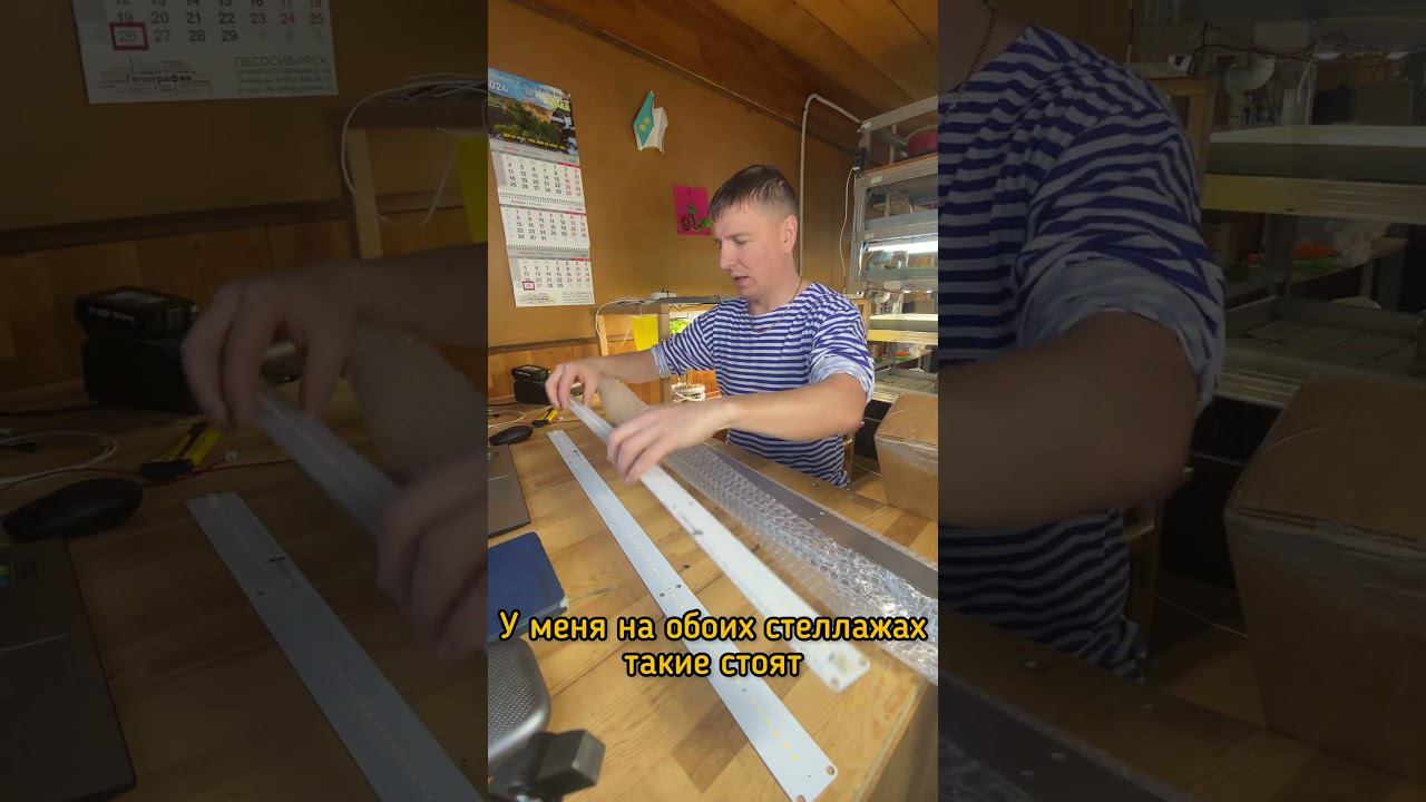 Начинаю готовить новый стеллаж под салаты #микрозелень #огородкруглыйгод #гидропоника