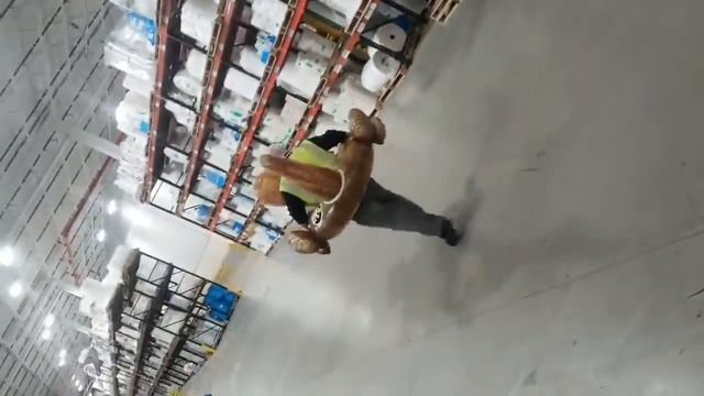 Polar plunge(4) смотреть онлайн