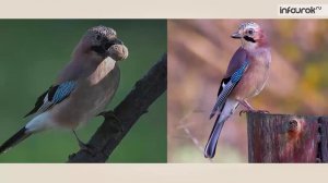 Сезонные изменения в лесу