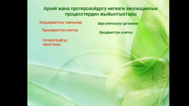 АРХЕЙ, ПРОТЕРОЗОЙ ЖАНА ПАЛЕОЗОЙДО ТИРИЧИЛИКТИН ӨРЧҮШҮ / ЖУНУСАЛИЕВА ЭЛИЗА