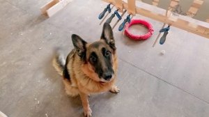 Канадское каноэ, часть 2