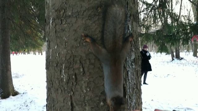 Категория Е ! знакомство с Альбертом с канал Категория Е