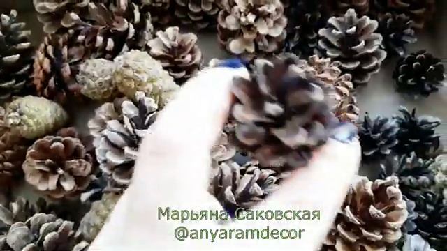 Отбеливание шишек хлоркой - проверка и другие способы окраски/ DIY white sticks смотреть онлайн