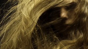 Кружится кружится пестрый листок     Ян Френкель