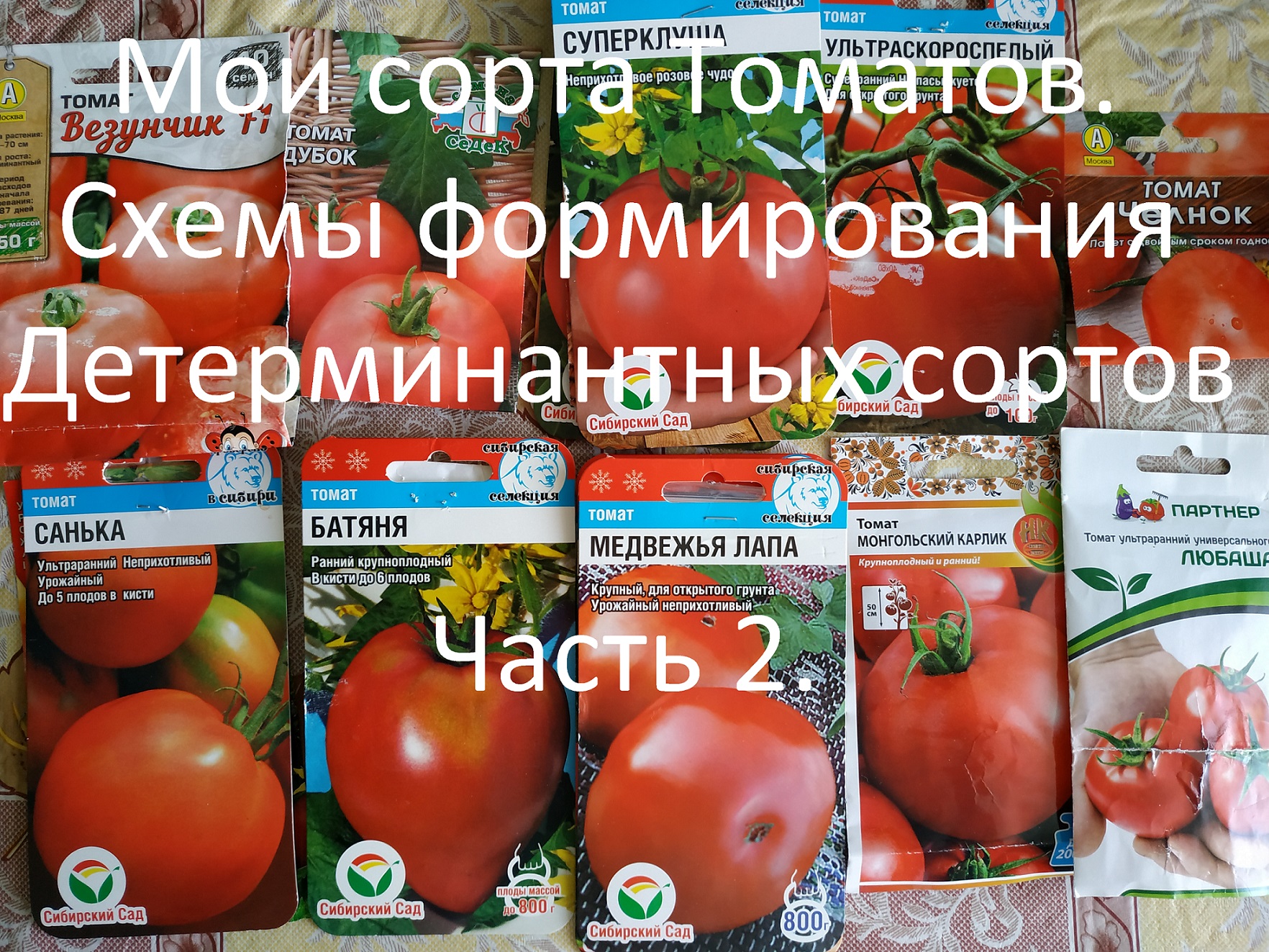 Сажаю томаты для открытого грунта // Схемы формирования детерминантных сортов