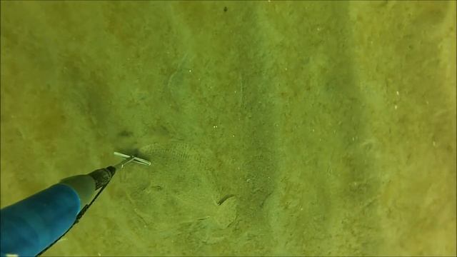 Подводная охота на калкана и камбалу Балтийское море, 04/05/2013 смотреть онлайн