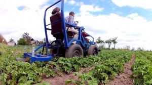 Окучивание картофеля минитрактором