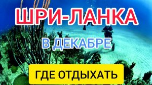 ШРИ ЛАНКА в декабре отдых_ чем заняться на Шри Ланке зимой_ Шри Ланка в январе_ погода, отдых.mp4
