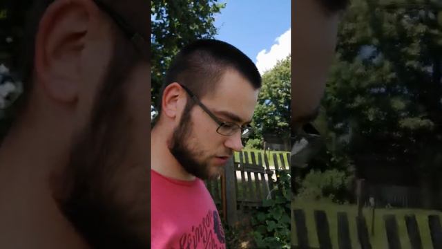 24июля 2020г. Наблюдения в слух. смотреть онлайн