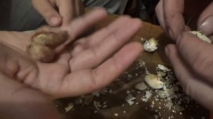 Помогаем вылупиться перепелятам, которые застряли Что делать Как помочь РАЗБИВАЕМ перепелиные ЯЙЦА