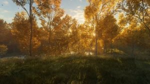 Бродский Одиночество