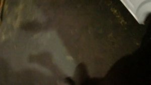 Двигатель ДВС Volkswagen Transporter 4 1991 2003 2,5 дизель