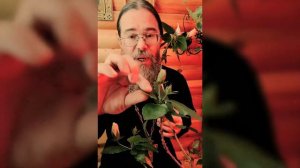Почему умирают дети? // Священник Кирилл Иванов