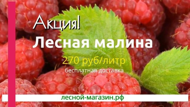 Замороженные ягоды с доставкой