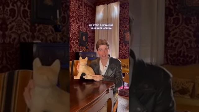 Иностранец о Русском языке.