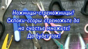 Воткните ножницы в герань. Народные приметы. Энергия слова