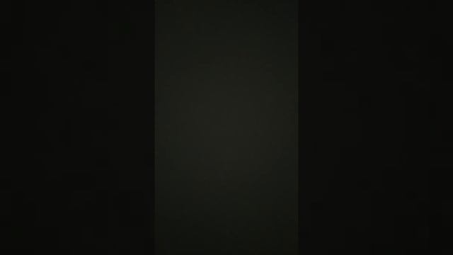 Как приручить хомяка к имени