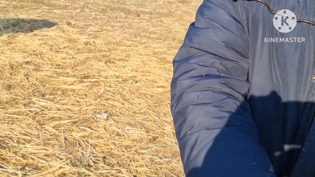 ЯНГИ ПАРТИЙА КЕЛДИ  ФАКАТ ШОШЛИН БУГУН ОРЗОН АЙТВАРДИ АХМАДЖОН АКАМИЗ ЙЕМГА ТАЙАРИДАН
