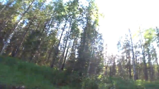 Всесезонные мотобуксировщики МУЖИК на лесной дороге смотреть онлайн