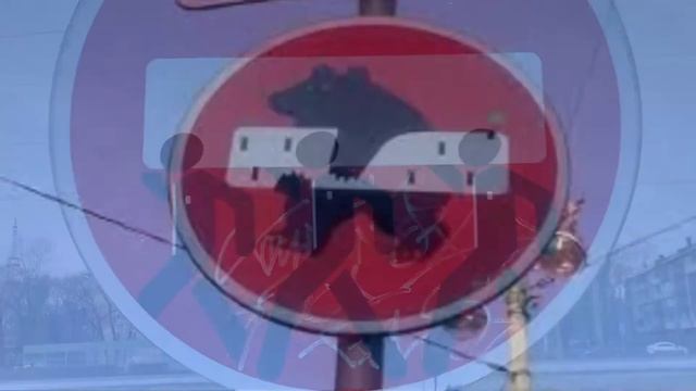 Смешные знаки 12 смотреть онлайн