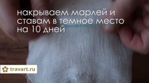 Как приготовить домашний уксус из яблок и слив. Сделать уксус. ТРАВАРТ #0901
