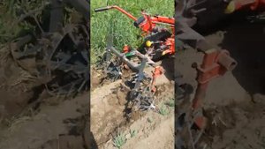 Мотоблок МТЗ 05 с ежиками для прополки