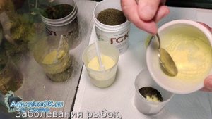 Лечебный корм для аквариумных рыбок от амебиаза, гексамитоза, ихтиофтириоза и других заболеваний