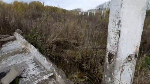 Копаю металл без металлоискателя. Заготовка арматуры на старой ферме