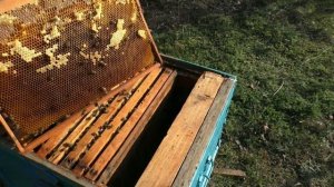 Как сделать сокращение гнезда осенью? Сколько рамок оставить?