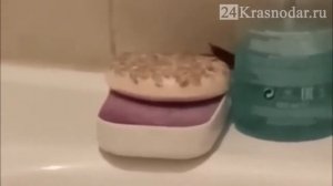 Летающие тараканы