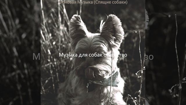 Атмосфера (Милые Собаки) смотреть онлайн