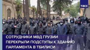 Сотрудники МВД Грузии перекрыли подступы к зданию парламента в Тбилиси