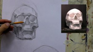 Рисунок черепа в двух ракурсах, 2 часть