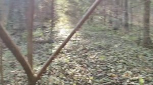 МЕТАЛЛОКОП в дремучем лесу. ТАКИХ НАХОДОК У МЕНЯ ЕЩЕ НЕ БЫЛО! Чем дальше в лес тем больше железа.