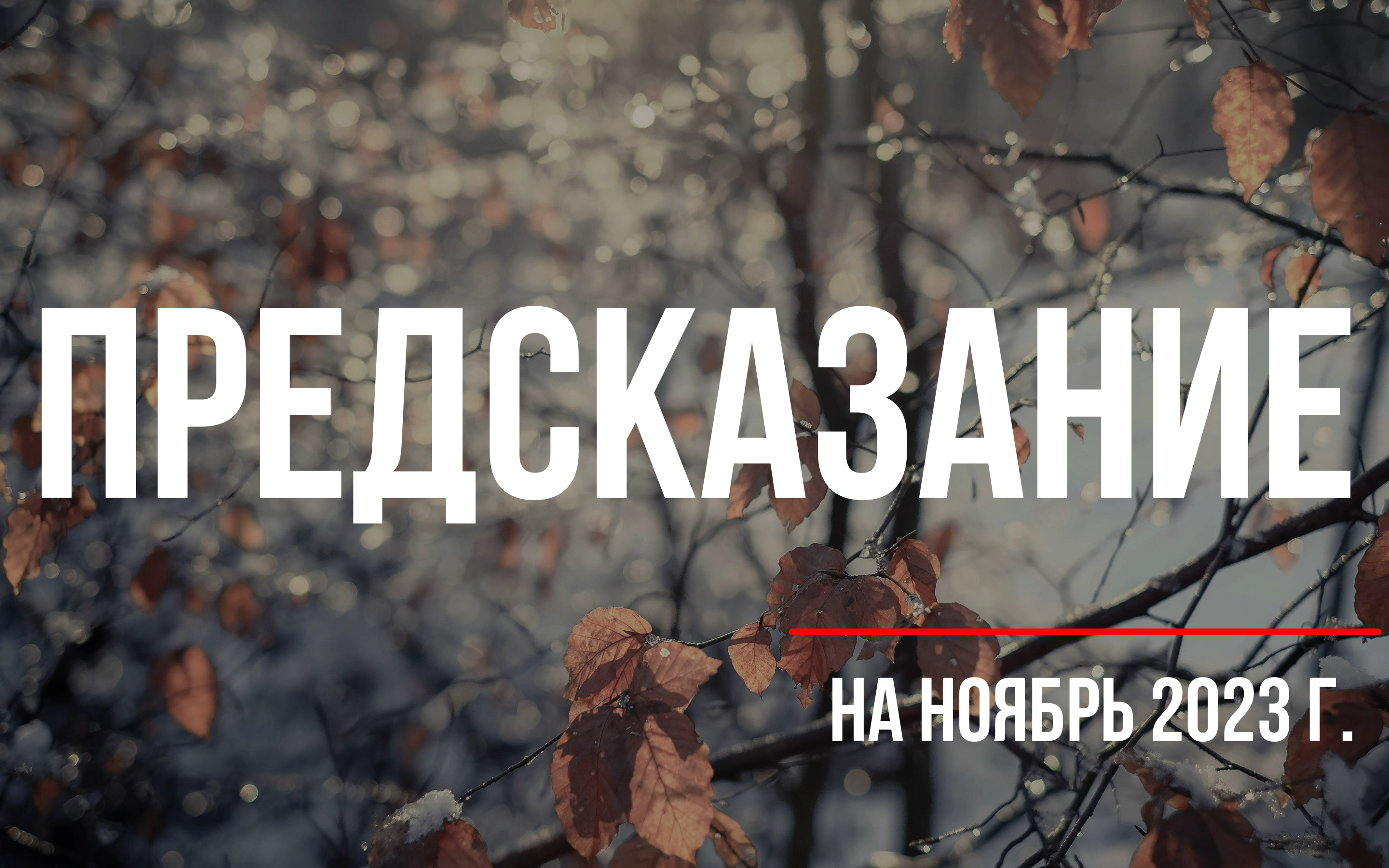 АСТРОЛОГИЧЕСКИЙ ПРОГНОЗ/ ноябрь 2023 г. от ?Ксении PRO?
Общий прогноз и рекомендации от астролога