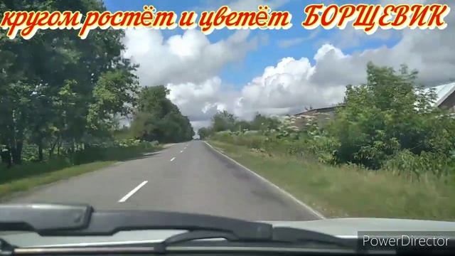 Молотицы и БОРЩЕВИК смотреть онлайн