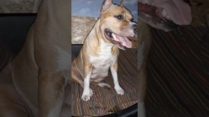 Подготовка к родам у стаффа Байры