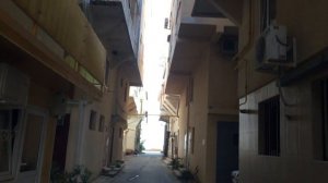 СОЧИ. ЛАЗАРЕВСКОЕ. ВИДЕОЭКСКУРСИЯ №6 "РЫБАЦКИЙ ПОСЁЛОК (Озеро Дивное)".