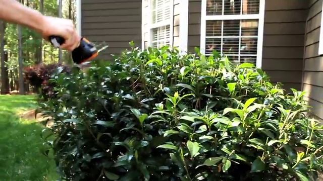 3.6V LithiumPower Shear Shrubber | Product Overview смотреть онлайн