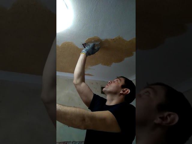 жидкие обои на потолке