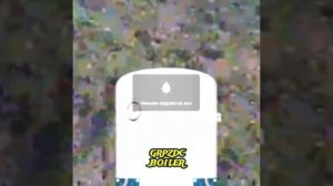 GRPZDC BOILER - 07.06.2024