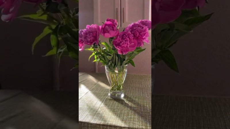 пусть это лето станет особенным