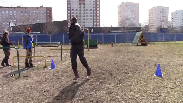 Лютиков Михаил и НО Цея профи Соревнования SMART DOG 16.04.16 смотреть онлайн