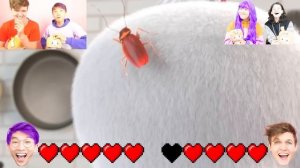 EXTREME TRY NOT TO LAUGH CHALLENGE WITH LANKYBOX SISTERS! (IMPOSSIBLE DIFFICULTY!)