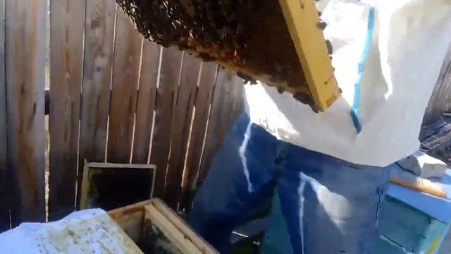 Работа на пасеке №5 11 05 2019 Хабаровский край смотреть онлайн