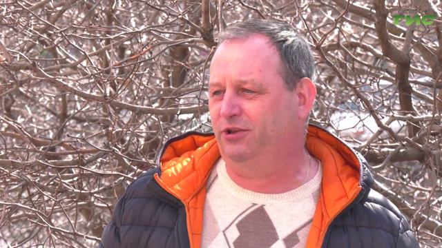 Удивительное явление: стая розовых фламинго прилетела в Самару