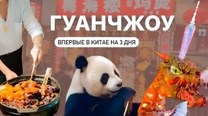 ПЕРВЫЙ РАЗ В КИТАЕ  ГУАНЧЖОУ ЗА 3 ДНЯ: панды, сафари, ужасная еда и красивые храмы GUANGZHOU 2024